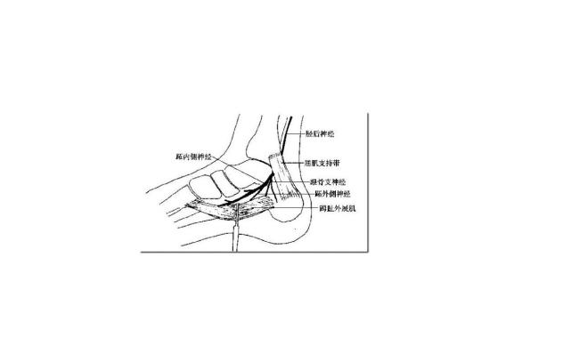 腳掌筋膜炎怎麼治療