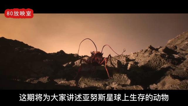 名叫五足虫住着一种非凡的五条腿生物然而就在这些