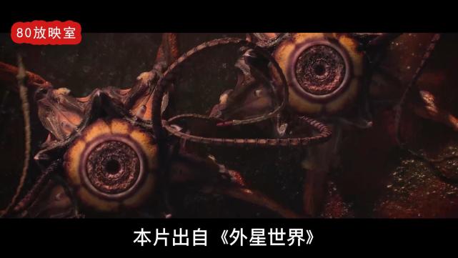 五足虫,亚努斯星球的一种动物,为了生存能变成任何需要的样子