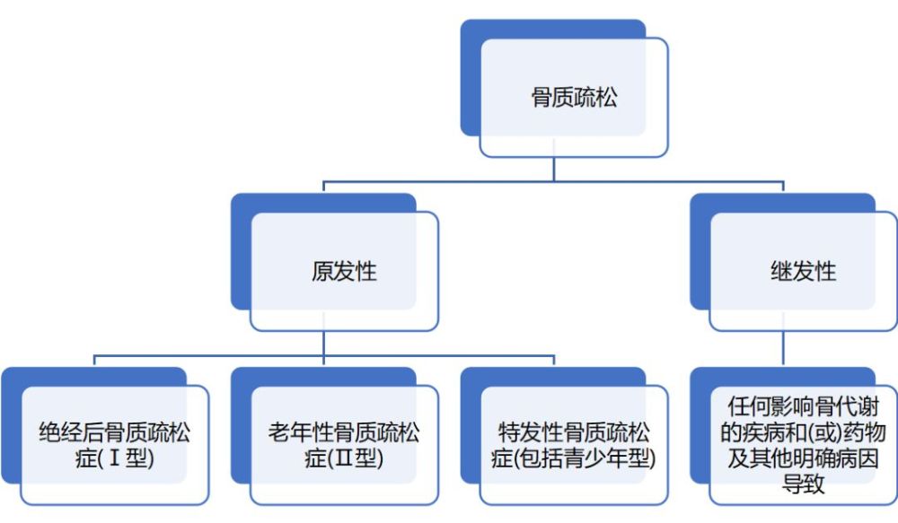 2001年美国国立卫生研究院(nih)将骨质疏松症定义为骨强度下降导致