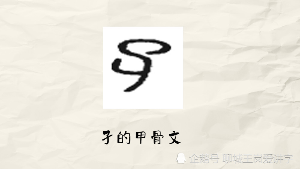 汉字科普"子孑孓孒"分别指的是什么?你可能没听说过吧