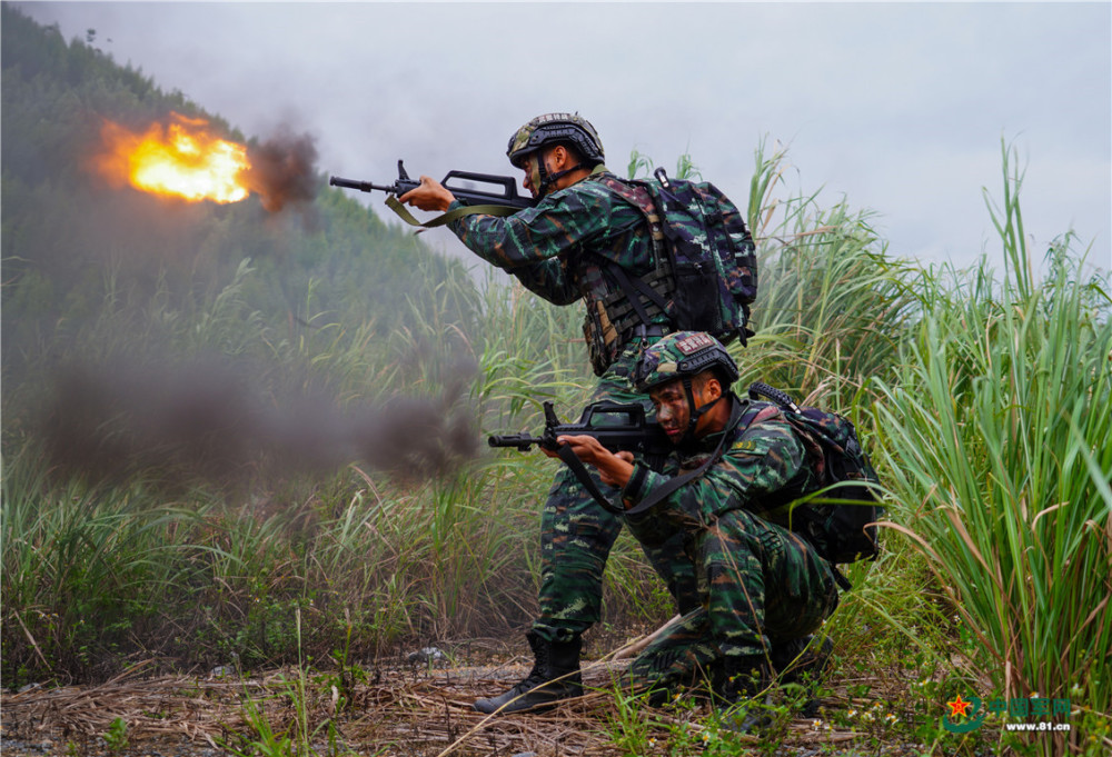 密林深处鏖战酣！直击武警特战队员实战化训练瑞思英语2021年关停