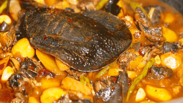 就凭1只鸡,吃它得提前3天预约|土鸡|养鸡|御凤甲|柴火鸡|甲鱼|赵亮