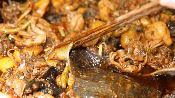 就凭1只鸡,吃它得提前3天预约|土鸡|养鸡|御凤甲|柴火鸡|甲鱼|赵亮