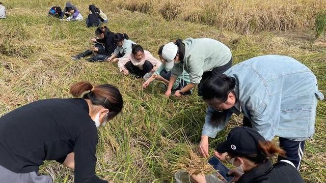 河北农业大学现代科技学院怎么样_河北农业学院现代科技学院