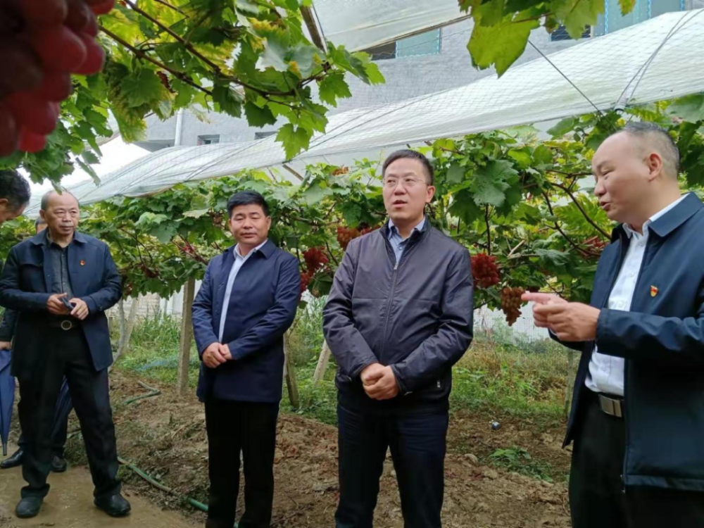 龚红果在绥宁县调研时强调:组织统战工作要打基础 抓重点 创特色 开新