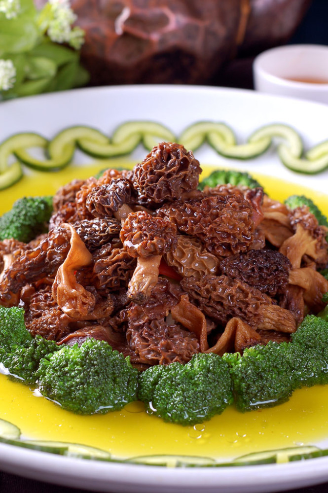 食用菌界的"菌中之王",营养价值高,煲汤味道鲜,一斤能卖千元_腾讯新闻