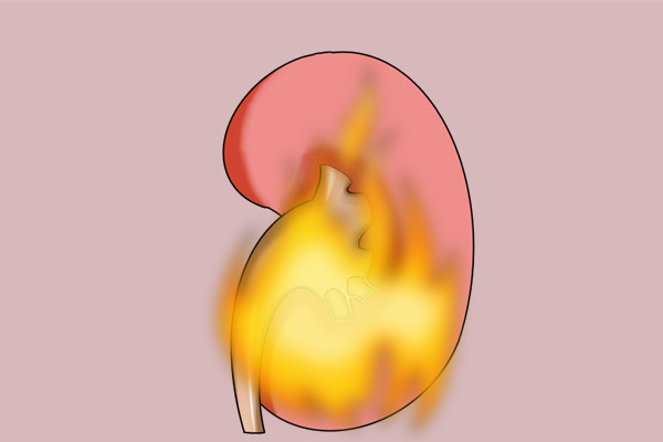 该先补阴还是先补阳?先搞清楚再补,更有效