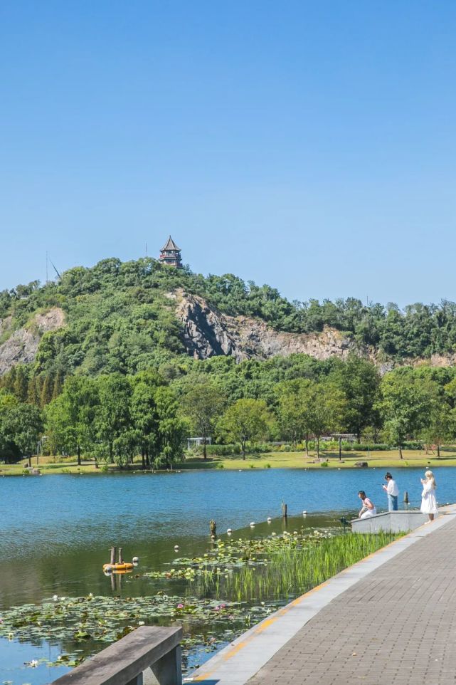 太喜欢松江的公园了