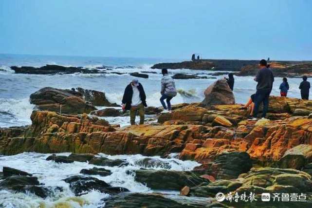 情报站日照任家台礁石公园风起云涌赶海拾贝乐无穷快来吧