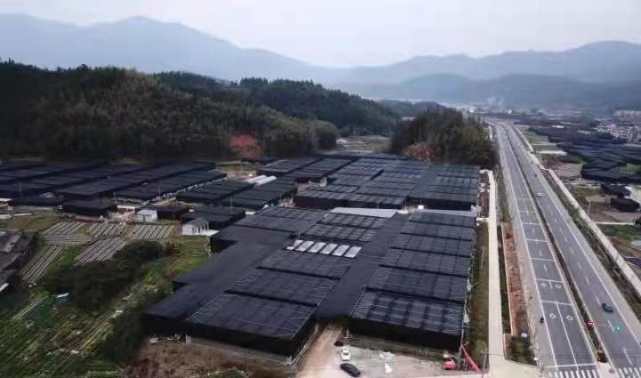 这里是香菇栽培技术的活态博物馆,庆元香菇,在创新发展上实现绿色崛起