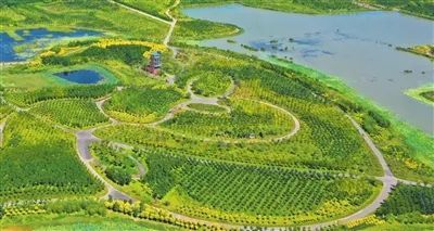 (绿意葱茏的绿屏·辛庄湾)