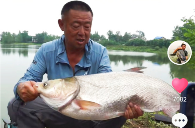 李大毛来盘鲢鳙了断线跑鱼略显老态钓友心疼大毛老师