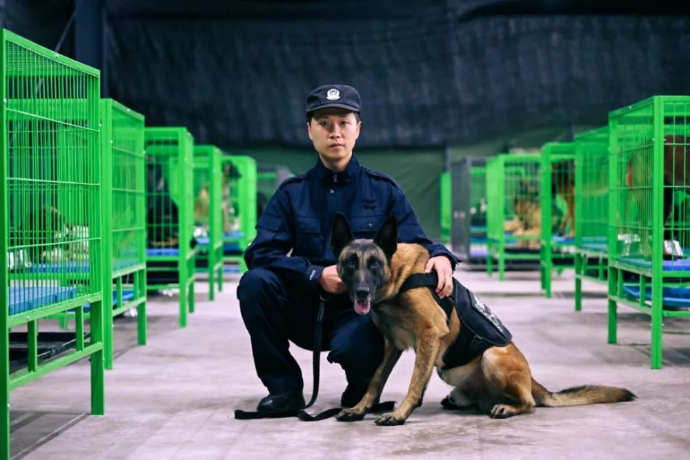 艾迪今年5岁半,来自玉溪市公安局警犬基地,已经从"警"4年半,是一只有