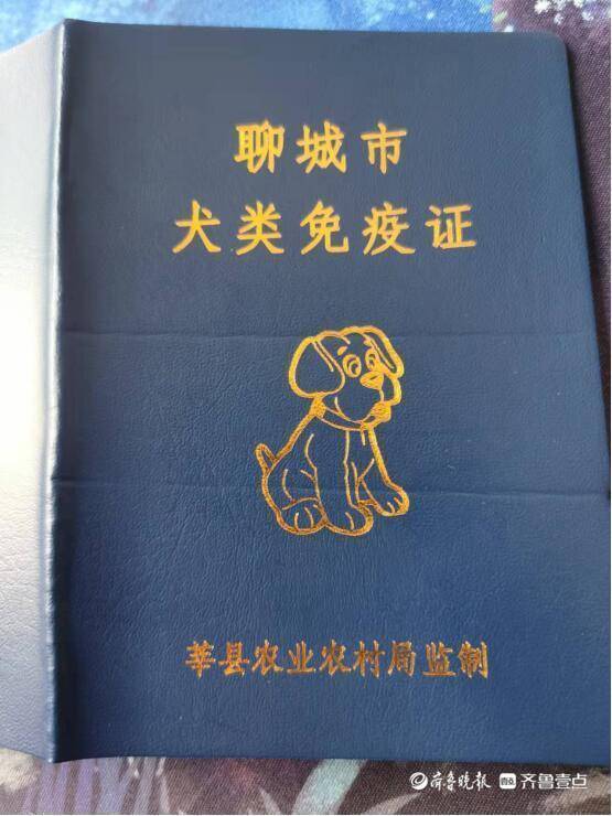 狂犬疫苗定点接种场所公布!莘县加大犬只监管力度