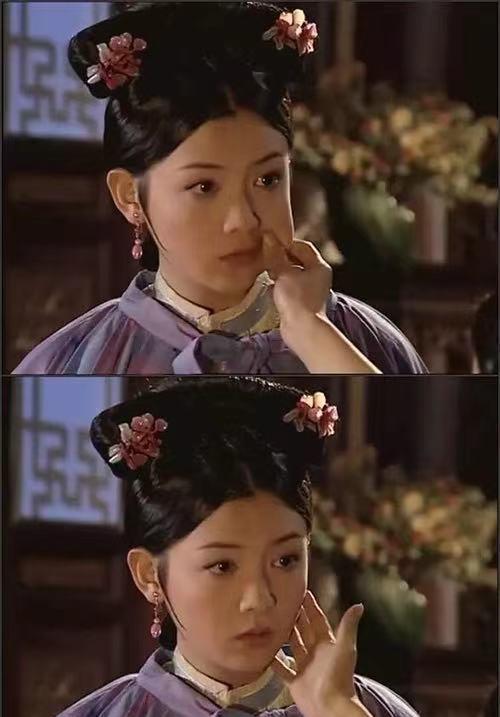 少年天子之花束子雏鸡终究变不了凤凰