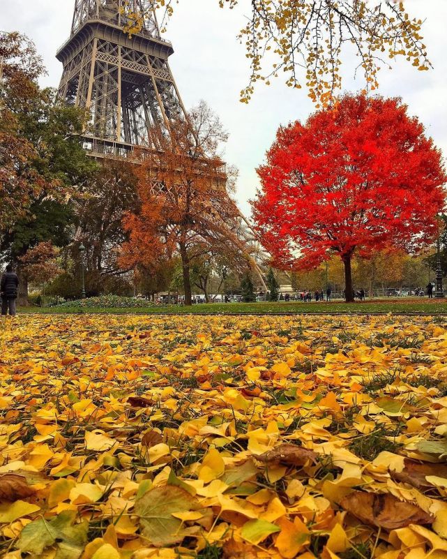 世界的秋天有多美?