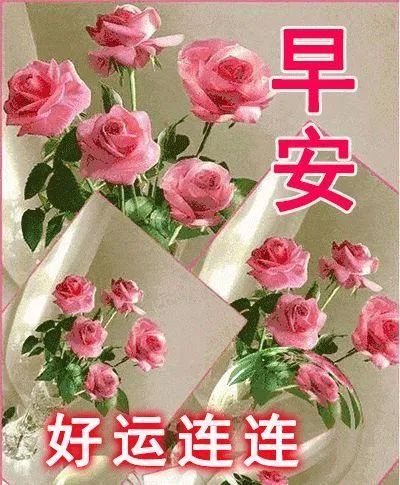 8张最新非常漂亮鲜花早上好图片表情包祝福语 群发朋友圈早安图片问候祝福早安祝福语大全 腾讯新闻