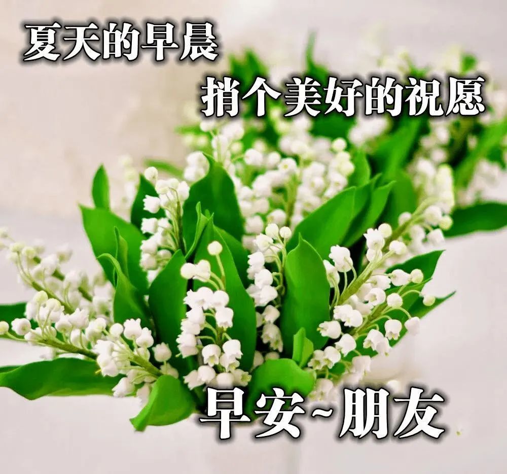 8张最新非常漂亮鲜花早上好图片表情包祝福语 群发朋友圈早安图片问候祝福早安祝福语大全 腾讯新闻