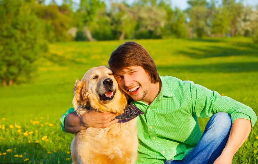 这7类狗狗都是航空黑名单 注定不能坐飞机 有你家狗吗 腾讯新闻