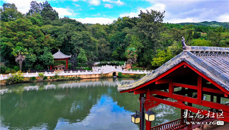 航拍昆明白龙潭一个泉水叮咚林幽鸟鸣的地方