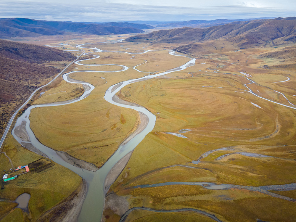 四川阿坝:月亮湾湿地河流流淌 牦牛群草原进食_腾讯新闻