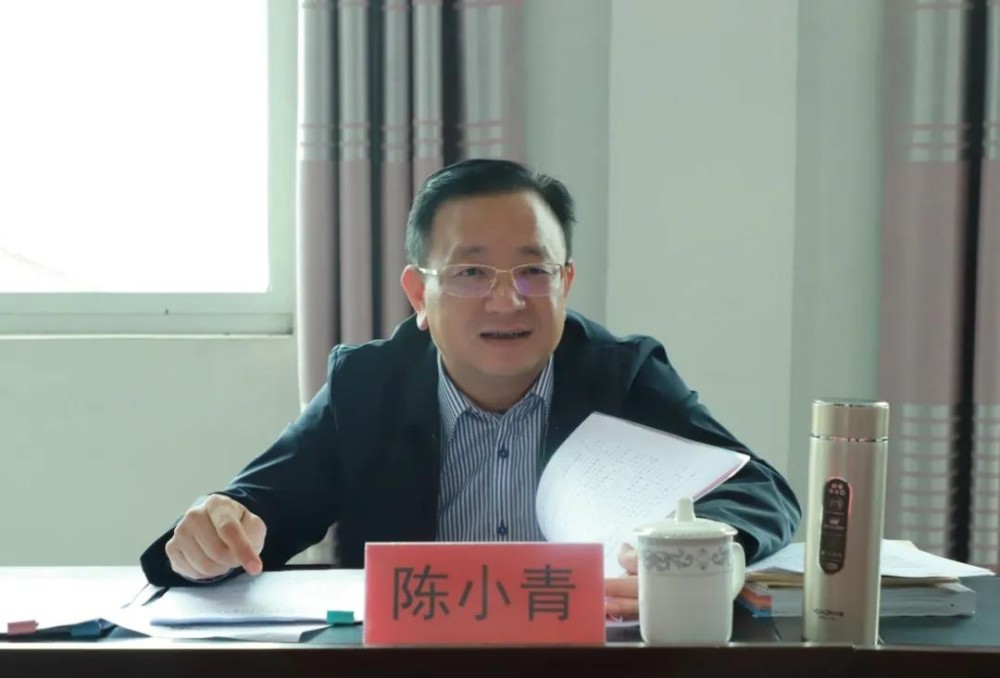 陈小青深入乡镇开展全面从严治党专题调研和监督检查