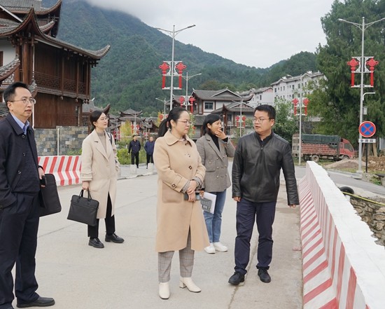 吴俞萍调研核心景区移民搬迁工作