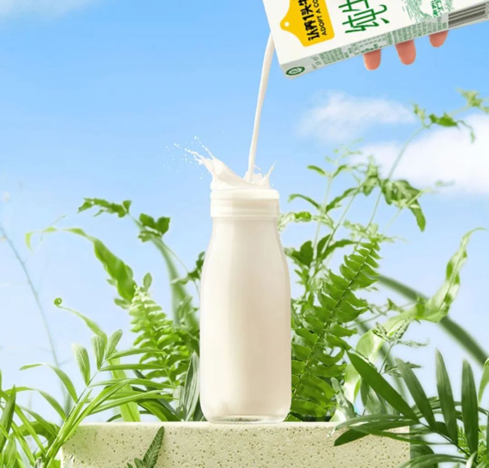 vc之王佳沛奇异果奶中贵族娟姗牛奶尝一口就沦陷