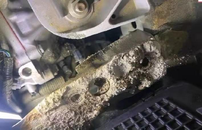 买了不到十个月的新车电瓶竟然漏液车主再也不买日本车了