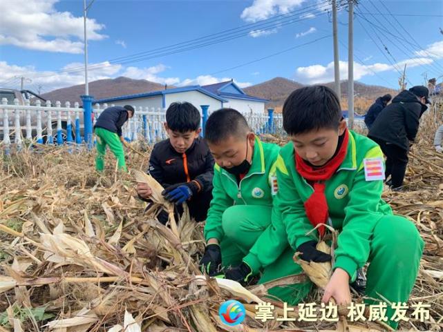 汪清县第二实验小学32名大队委开展秋收助农主题活动