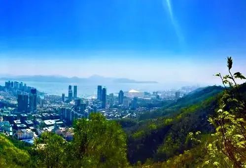 深圳周末大南山公园游玩详细路线交通拍照攻略