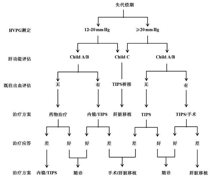 肝硬化门静脉高压症多学科诊治基于肝静脉压力梯度专家共识