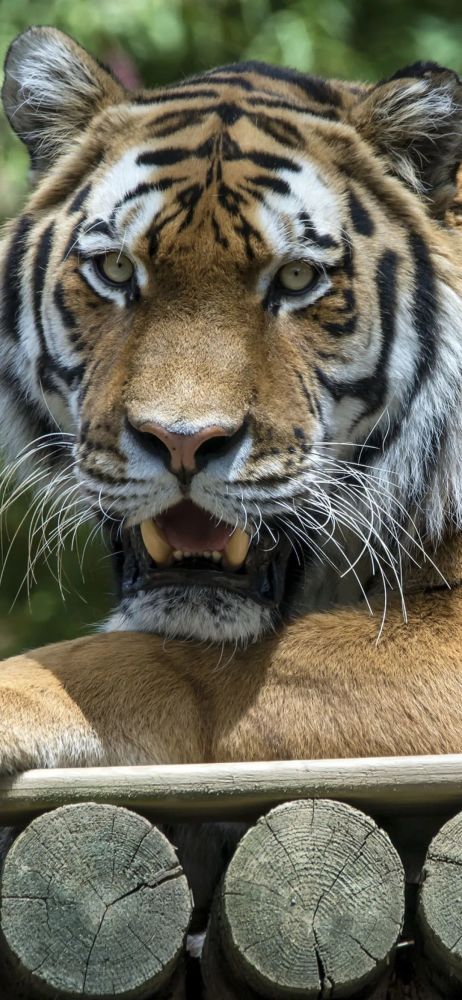 壁纸 今日高清壁纸集全面屏手机壁纸第469期 腾讯新闻