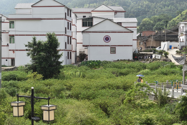 走進寧德市蕉城區七都鎮北山村,白牆黛瓦鑲紅邊的畲家民居錯落有致