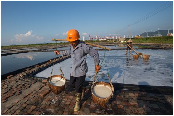 晒盐过程中有一项繁琐的工序——旋盐,行话叫做"打花",就是拉着粗绳