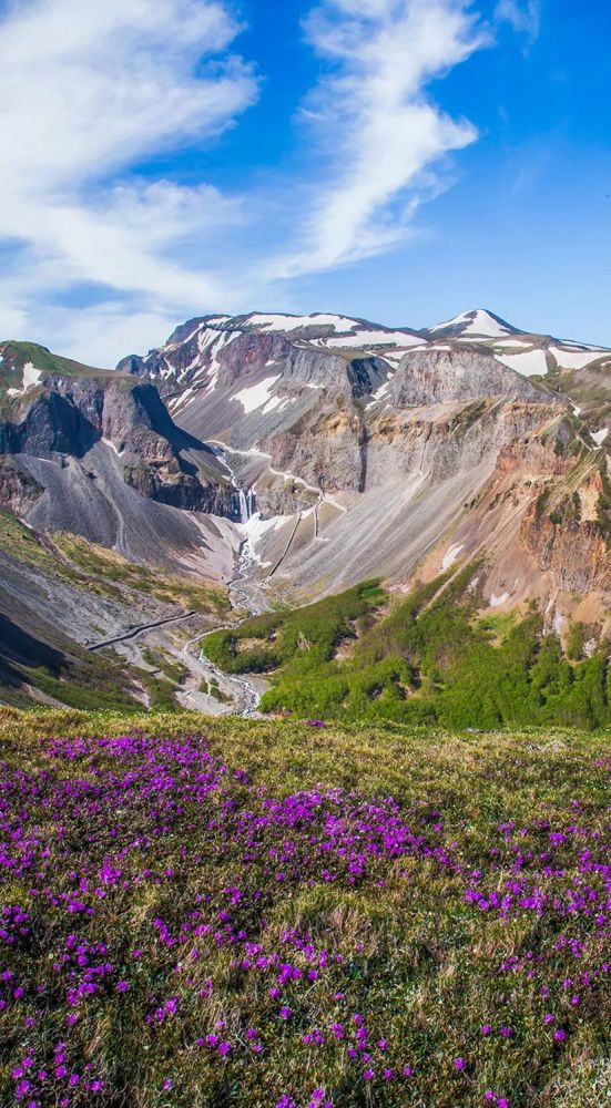 (滑动下图,查看"苔原锦绣"全景)长白山高山苔原带是东北亚地区唯一