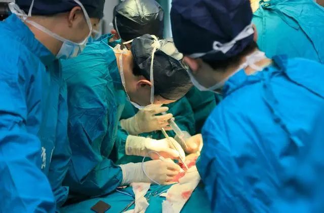church教授和杨璐菡博士共同创立的杭州启函生物科技有限公司宣布