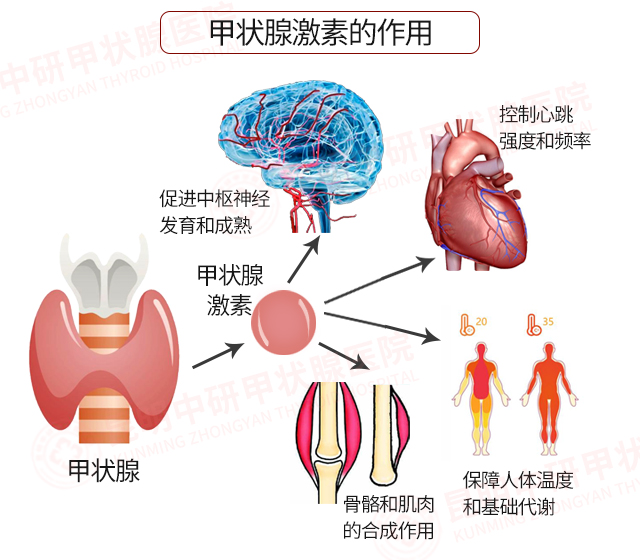 甲亢,甲減,甲狀腺結節高發,一分鐘自測你離甲狀腺疾病有多遠!