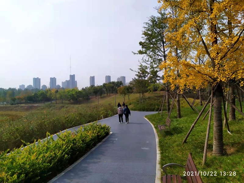 鄭州西流湖公園初現網紅花海數公頃各色花卉芳香撲鼻