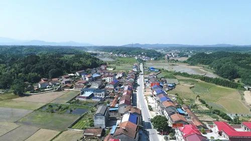 2021年全国乡村特色产业亿元村入选了湖南省岳阳市湘阴县樟树镇文谊