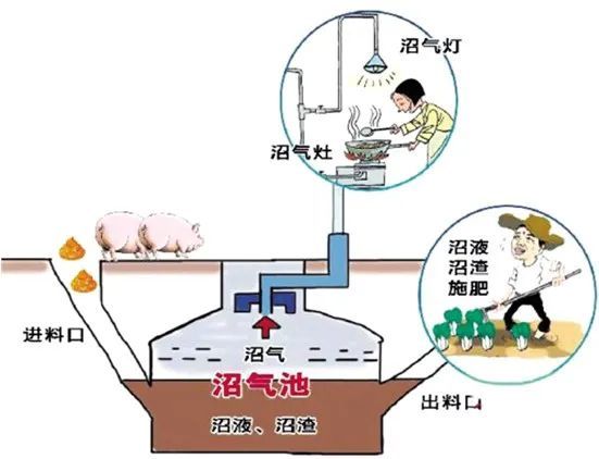 100头猪沼气池造价图片