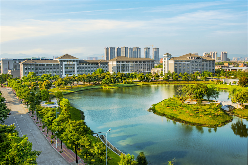 年底居然炸出了福州的流量网红