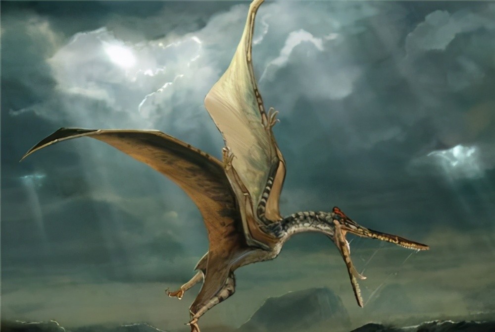 1864年美国士兵抓到一只翼龙,并留下合影,究竟是真是假?