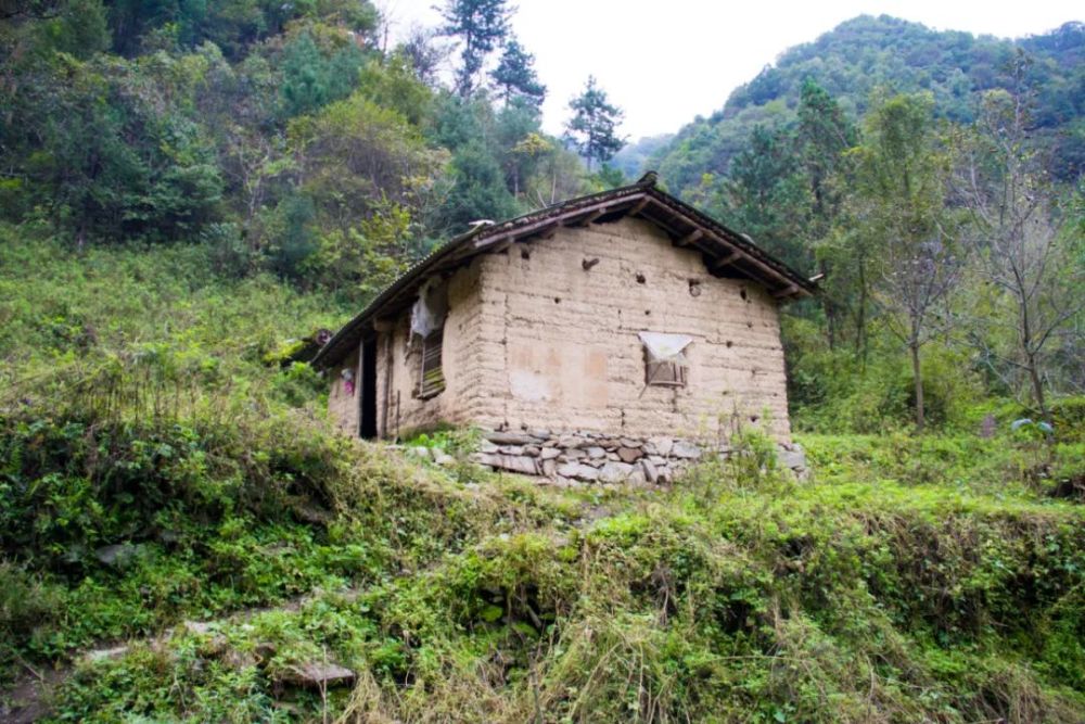 寻访秦岭红岩沟大山里无人居住的老房子到处都是随处可见