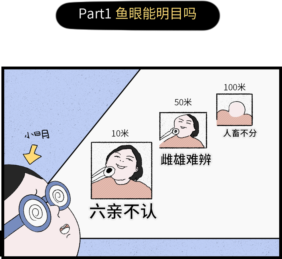 鱼皮能吃出丰盈少女脸？这个部位有毒！(图1)