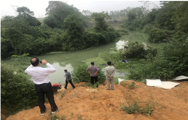 多部门联合!武鸣仙湖镇开展生态环境问题整治行动