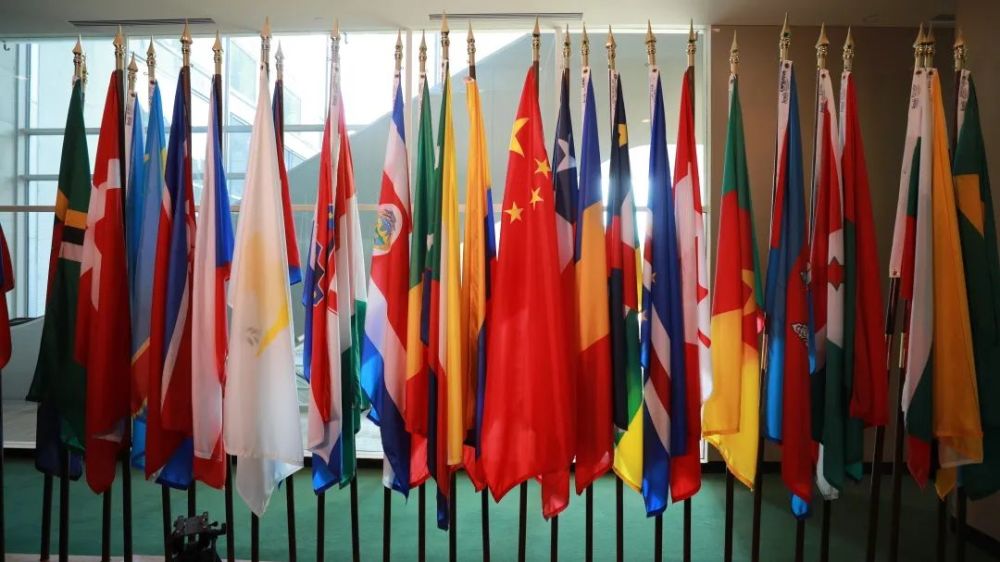 全球连线独家vlog新华社记者为你细数联合国十大中国元素