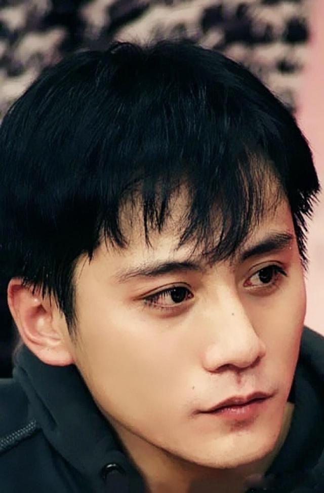 黑土地出美男子,12位东北籍男星,个个浓眉大眼,帅得各有千秋_腾讯网