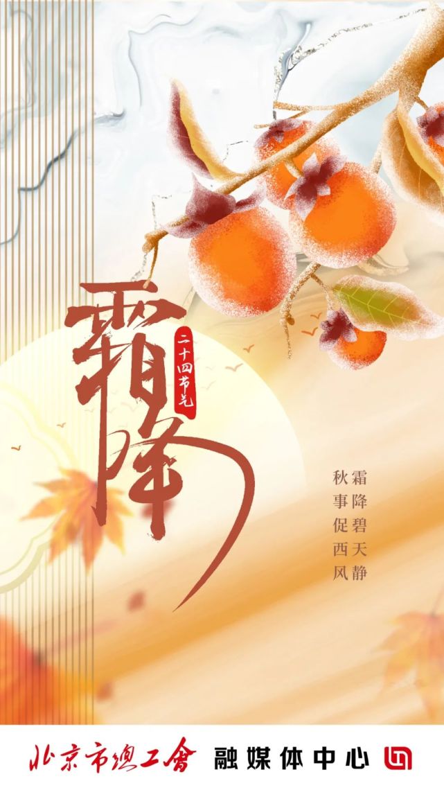 今日霜降|一夜霜寒木叶秋!